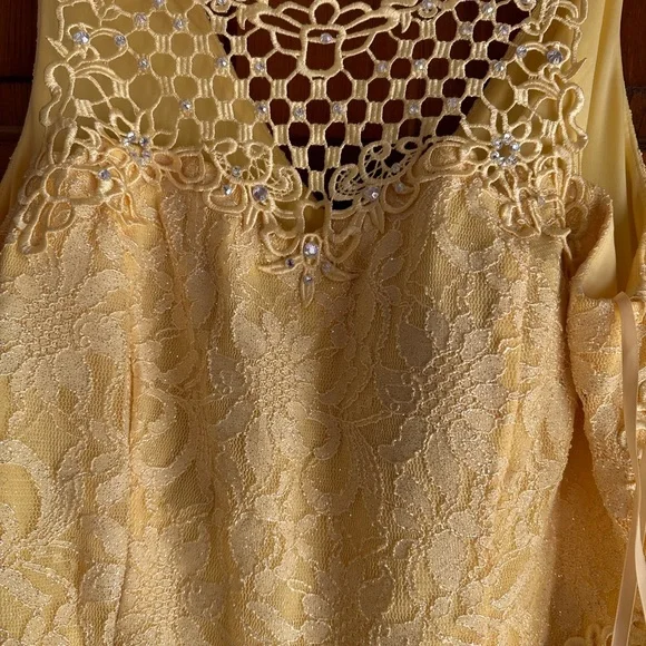 City Triangle size 21 yellow formal long dress - Picture 2 of 5